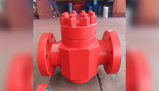 Check Valve