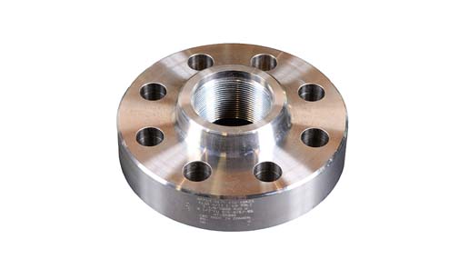 Companion Flange